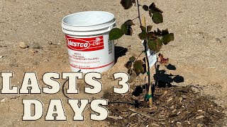 How to Install Drip Irrigation for Raised Beds Complete DIY System Guide [upl. by Nonnah]