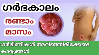 Second month of pregnancy  malayalam [upl. by Rasecoiluj722]