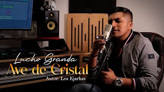 LUCHO GRANDA  AVE DE CRISTAL  LOS KJARKAS [upl. by Haraj283]