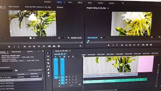 Adobe Premiere Fix Preview Window Show Zoom In Video and Not Original Size [upl. by Kristel452]