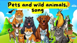 pet song ❤️ Pets Wild Animals song Song  kids song toddlers song by chachu tv [upl. by Layod390]