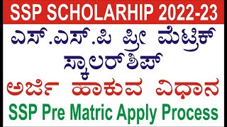 SSP Pre Matric Scholarship Apply 202223 [upl. by Annwahs]