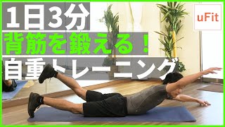 背筋トレーニング！背中を鍛える自重トレーニング8種目【背筋の鍛え方】 [upl. by Tomaso]