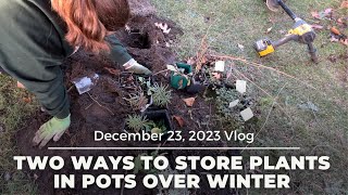 Two Ways to Store Plants in Pots Over Winter [upl. by Nibuz]