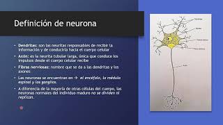 Neurona [upl. by Root862]