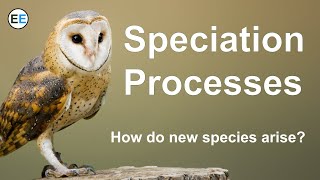 Speciation Processes  How do new species arise [upl. by Nivanod858]