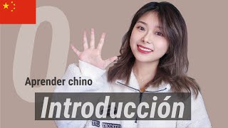 Introducción al idioma  Mandarín para principiantes  Aprender Chino 🍍 [upl. by Lindholm]