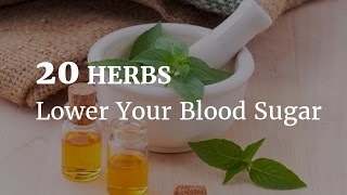 20 Herbs that Effectively Lower Blood Sugar [upl. by Beutner]