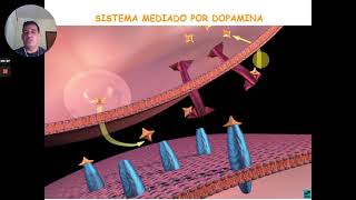 Aula Introdução a Toxicologia Social e dependência [upl. by Neerbas]