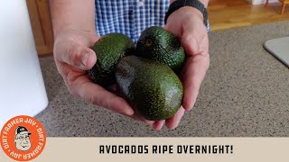 Avocados Ripe Overnight [upl. by Grof941]