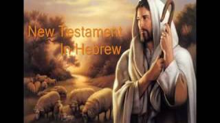 1 Hebrew Audio Bible New Testament Matthew Chapters 13 [upl. by Shara154]