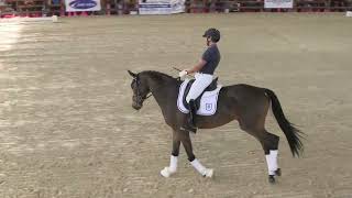 EquitaLyon 2023  Clinic Dressage Monica Theodorescu [upl. by Adnilra]