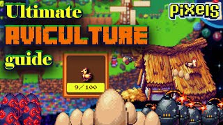 How to Level up your Aviculture skill  Pixels Online pixelsxyz [upl. by Ahsaetal839]