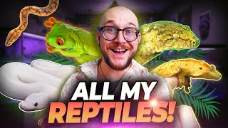 All Of My Reptiles I NEVER SHOW YOU Reptile House Tour [upl. by Merla]