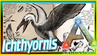 Ichthyornis ARK Survival Evolved DossierNews 64 ARK Seagull Update amp Spotlight [upl. by Ariaet]