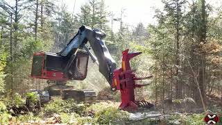 TimberPro TL745D Feller Buncher Cutting in New Hampshire [upl. by Sybila118]