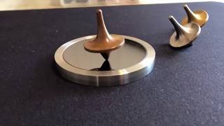 Playing with ForeverSpin Spinning Tops Inception [upl. by Neelhtakyram]