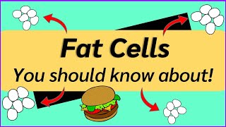 3 Types of FAT CELLS you SHOULD know about  Good Fat cells that help in weight loss [upl. by Gayn101]