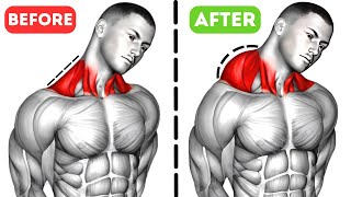 8 Very Effective Exercises Traps Workout  Traps Workout [upl. by Pulcheria]