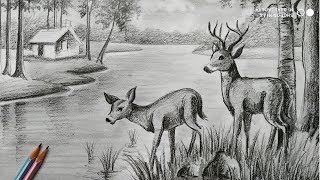 how to draw deer with pencil sketch sceneryhow to draw forest scenerystep by stepanimals drawing [upl. by Pippas]