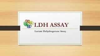 LDH assay Lactate dehydrogenase [upl. by Nysila394]