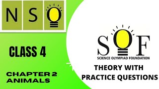 Class 4 olympiad  NATIONAL SCIENCE OLYMPIAD EXAM 2021 NSO CHAPTER 2 [upl. by Goldenberg]