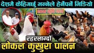 रहरलाग्दो अर्ग्यानिक लोकल कुखुरा पालन Local Chicken Farming In Nepal  Wave Nepal [upl. by Losse161]