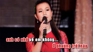 KARAOKE  Nhớ Người Tình Xa  Dương Hồng Loan  Tone Nữ [upl. by Johen]