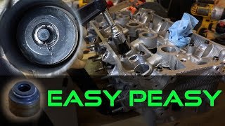 How To Replace Valve Seals  COMPLETE GUIDE [upl. by Nedloh]