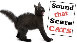 Sounds That Scare Cats [upl. by Sudderth875]