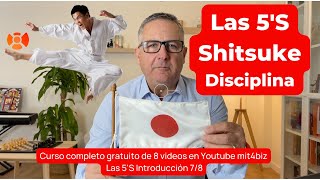 78 Las 5S Shitsuke  Disciplina [upl. by Shererd424]