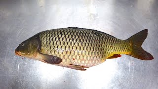 How to Fillet Score amp Fry a Carp  Common Carp [upl. by Kilgore]