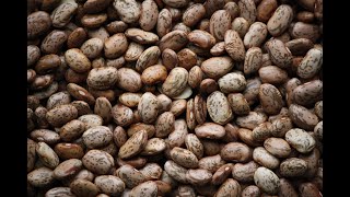 Pinto Beans 101  Nutrition and Health Benefits [upl. by Norman409]