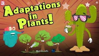 Adaptations In Plants  What Is ADAPTATION  The Dr Binocs Show  Peekaboo Kidz [upl. by Rojas]