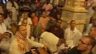 Raghunath Cappo at Krishna Balaram Mandir temple Vrindavan 24 hour Kirtan [upl. by Lili964]