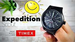 Timex Expedition Solar Watch Review ▶ Timex Expedition Solar Collection Video [upl. by Ycats392]