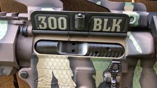 Lefty 300 BLACKOUT AR15 quotWoodlandRIPTILEquot Duracoat Camo Project [upl. by Nide]