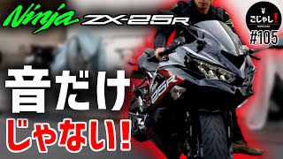 【ZX25R】今どきの250cc 4気筒バイクはすげえ【レビュー・インプレ】 [upl. by Ayhtnic]