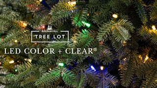 LED Color  Clear  Tree Lot [upl. by Sekyere]