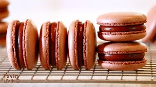 The Ultimate Guide To Perfect Chocolate Macarons  Pastry Living [upl. by Aihtnis]