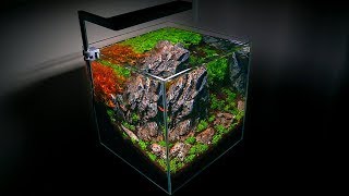 SETTING UP A SMALL AQUARIUM  NANO AQUASCAPE [upl. by Dermot]