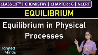 Class 11th Chemistry  Equilibrium in Physical Processes  Chapter 6 Equilibrium  NCERT [upl. by Yelyac56]