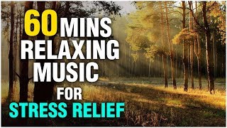 60 Minutes Relaxing Music For Stress Relief and Anxiety Music for Meditation Studying and Sleep [upl. by Attikram]