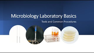 Microbiology Lab for Beginners [upl. by Anstice]