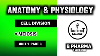 Cell Division  Meiosis  Reproductive Cell Division  Human Anatomy And Physiology  HAP  B Pharma [upl. by Ihculo]