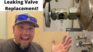 How to Replace a Leaking Shutoff Valve Under a Sink [upl. by Fryd]