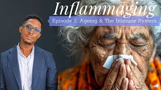 Inflammaging  Episode 2 Ageing amp The Immune System [upl. by Inalaehon595]