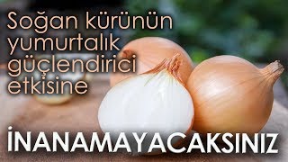 Soğan Kürünün Yumurtalık Güçlendirici Etkisine İnanamayacaksınız [upl. by Reinke983]