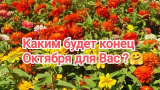 Выбери один из трёх вариантов и узнай каким будет конец Октября 🌹 [upl. by Kcirdahs]