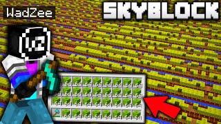 I Built the BIGGEST MELON FARM EVER on Minecraft Skyblock [upl. by Yrogreg410]